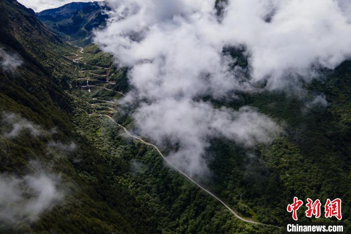 西藏山南勒布溝景區(qū)的盤山公路被云霧環(huán)繞。　江飛波 攝