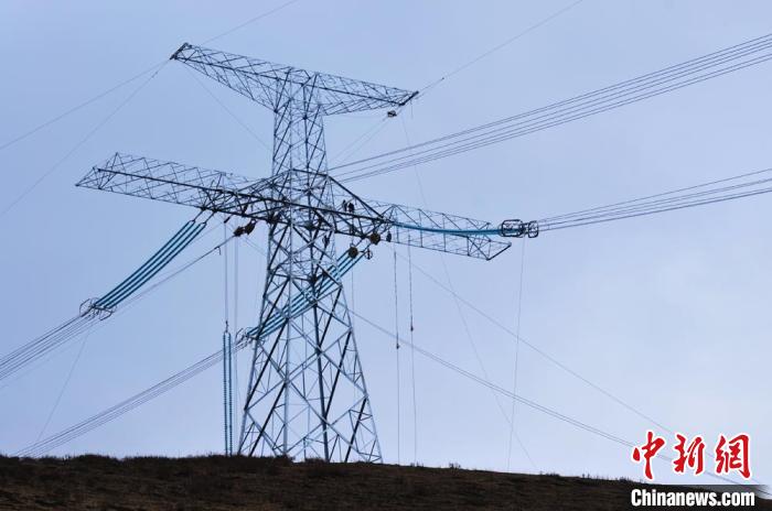 高原藏區(qū)電力線路建設(shè)者：高寒缺氧、扎刺掛彩是常事