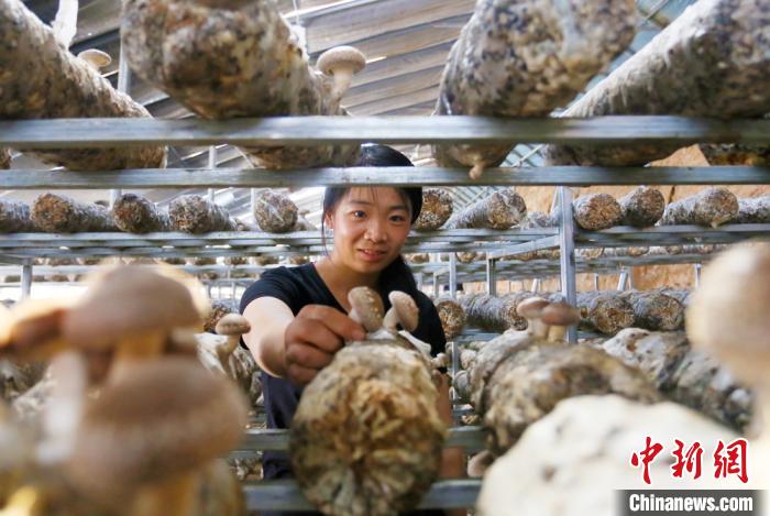 甘肅天?！跋愎椒蚱蕖毕律饺氪ǎ捍笈锢镉板X景”