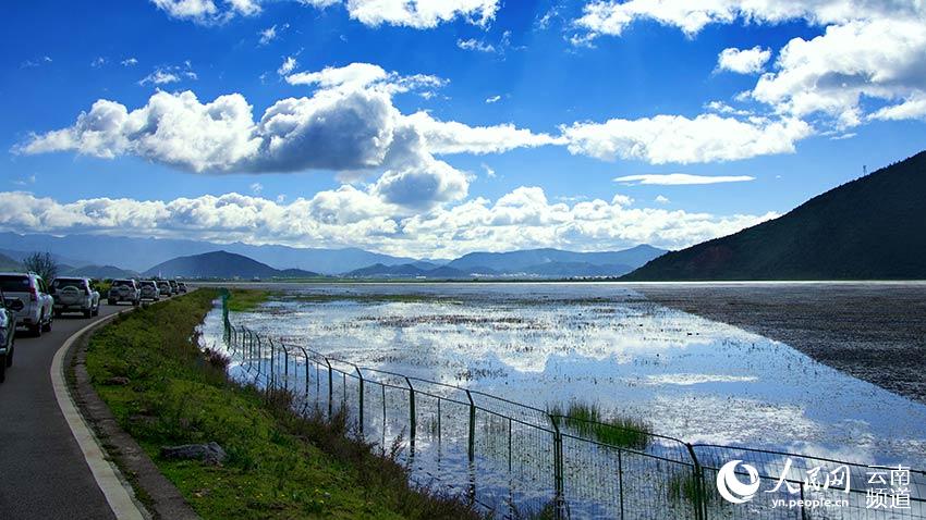 納帕海濕地。呂昊辰攝