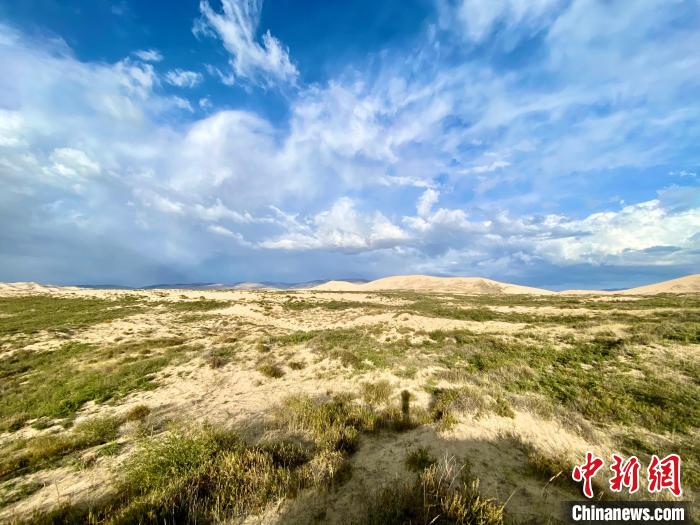 圖為關(guān)停四年后的沙島景區(qū)現(xiàn)狀?！±罱瓕?攝