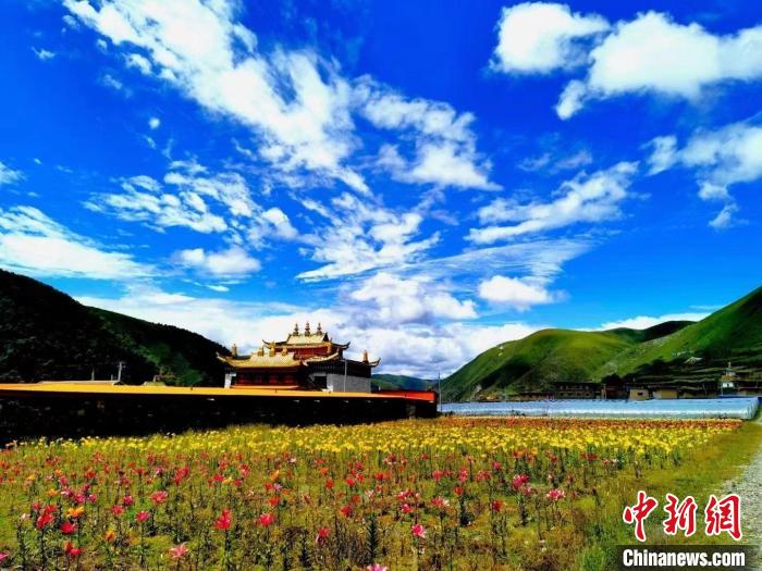 近百畝百合花競(jìng)相開放，景色誘人?！∪捞量h委宣傳部供圖