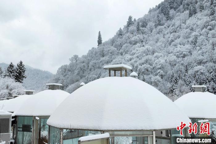 大熊貓國家公園王朗片區(qū)春雪如畫，宛若仙境。　羅春平 攝