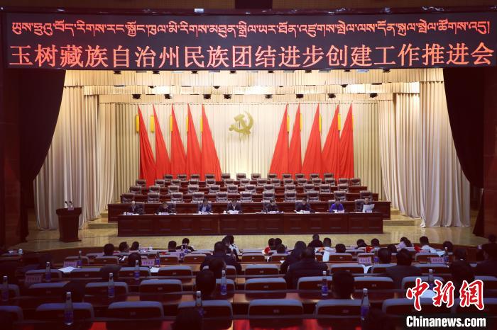圖為玉樹州民族團結(jié)進步創(chuàng)建工作推進會現(xiàn)場?！『F龍 攝