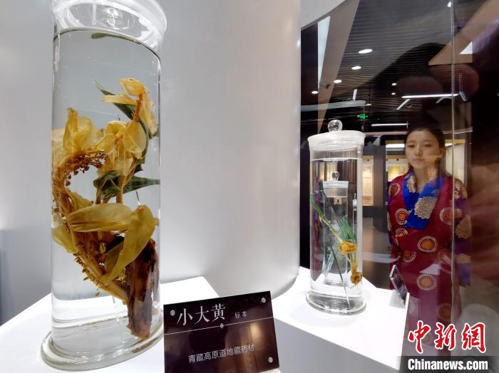 青海中藏醫(yī)藥發(fā)展提速：建設(shè)一批重點?？茖W(xué)科，推廣一批適宜技術(shù)