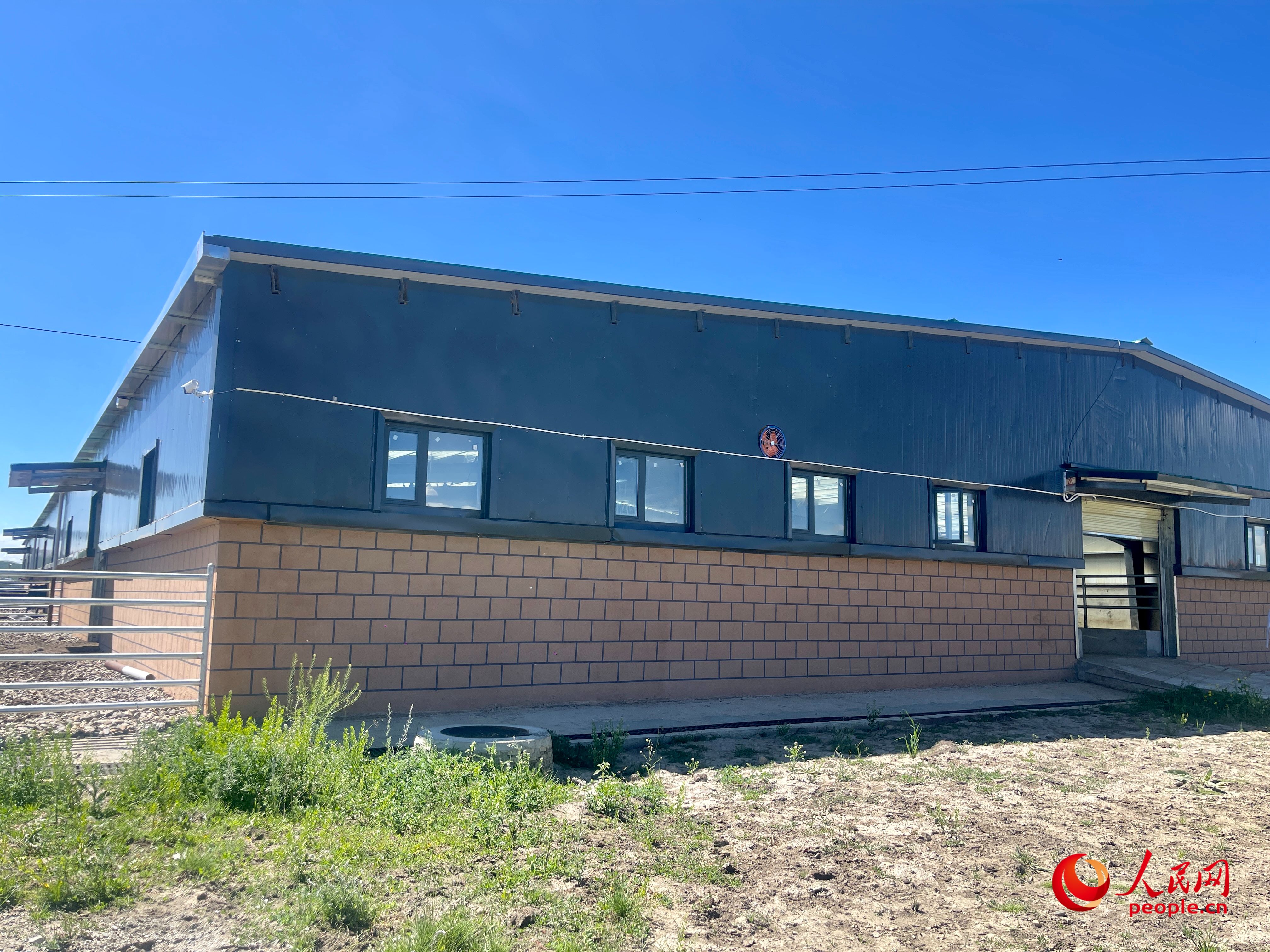 唐日合作社。人民網 周靜圓攝