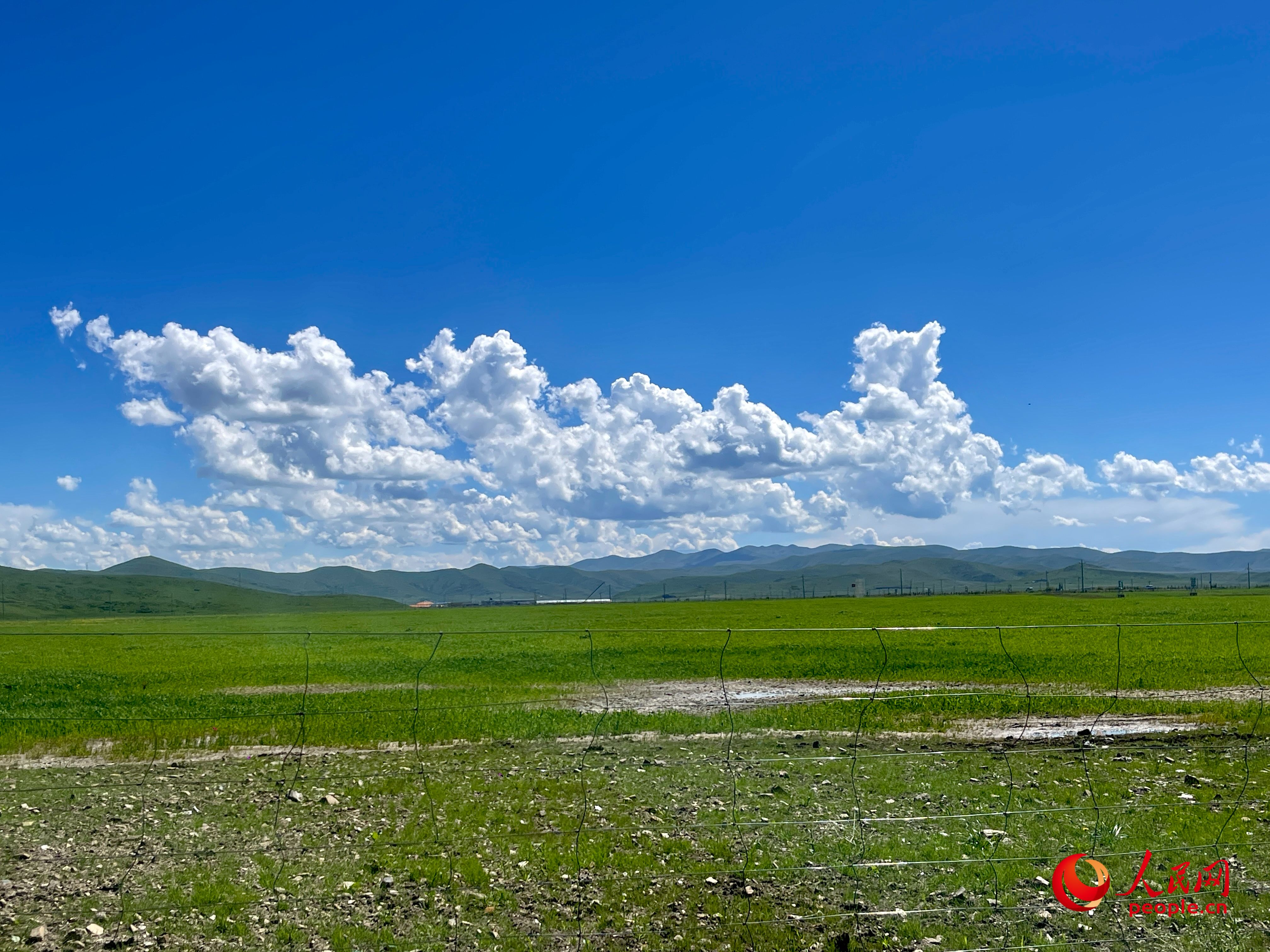 唐日合作社附近，藍天白天、綠草如茵。人民網 周靜圓攝