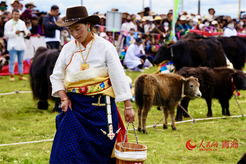 擠牦牛奶大賽。人民網(wǎng) 陳明菊攝