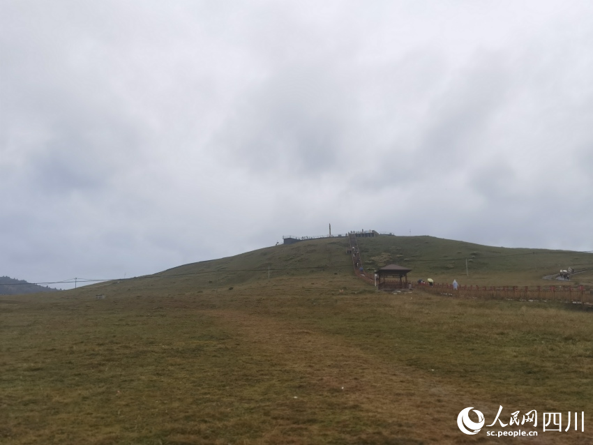 甘孜州塔公草原。人民網(wǎng)記者 王洪江攝
