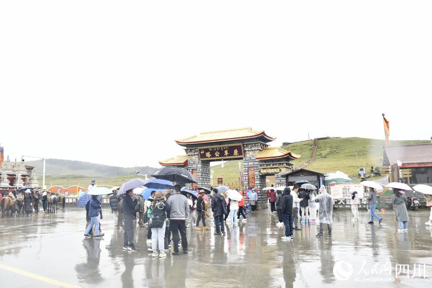 甘孜州塔公草原。人民網(wǎng)記者 王洪江攝