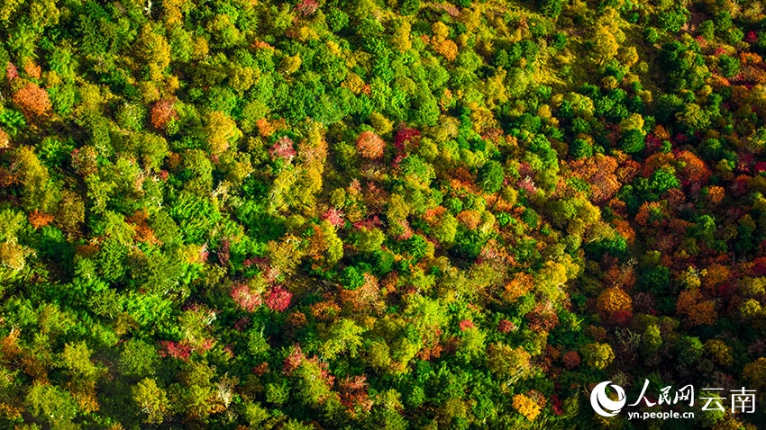 秋日普達(dá)措。格瑪攝