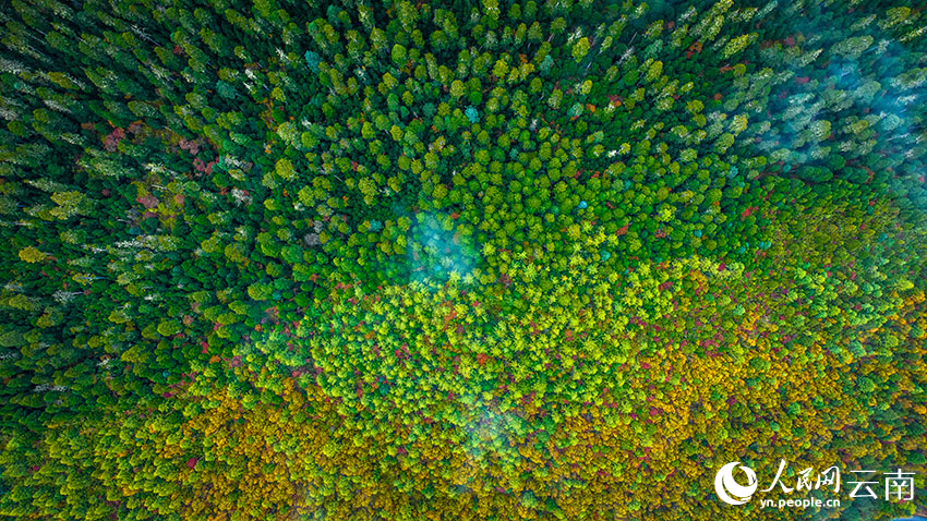 秋日普達(dá)措。格瑪攝