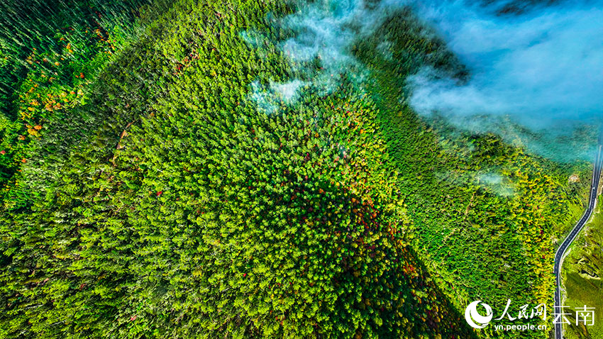 秋日普達(dá)措。格瑪攝