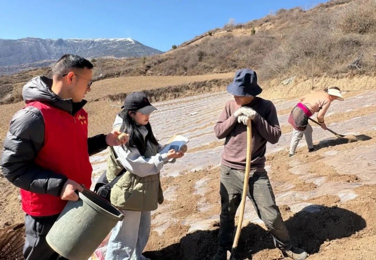 農(nóng)技人員現(xiàn)場(chǎng)指導(dǎo)。黑水縣融媒體中心供圖