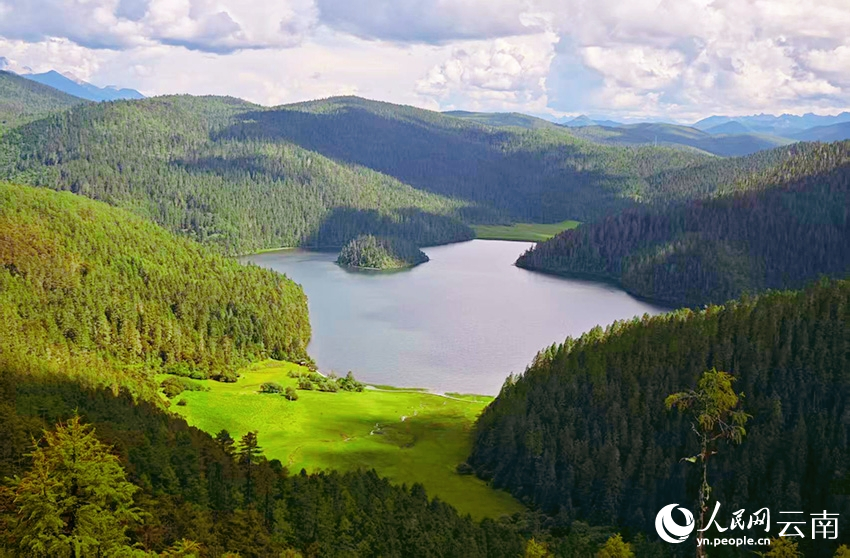 迪慶香格里拉普達(dá)措公園夏日風(fēng)景如畫。人民網(wǎng)記者 木勝玉攝