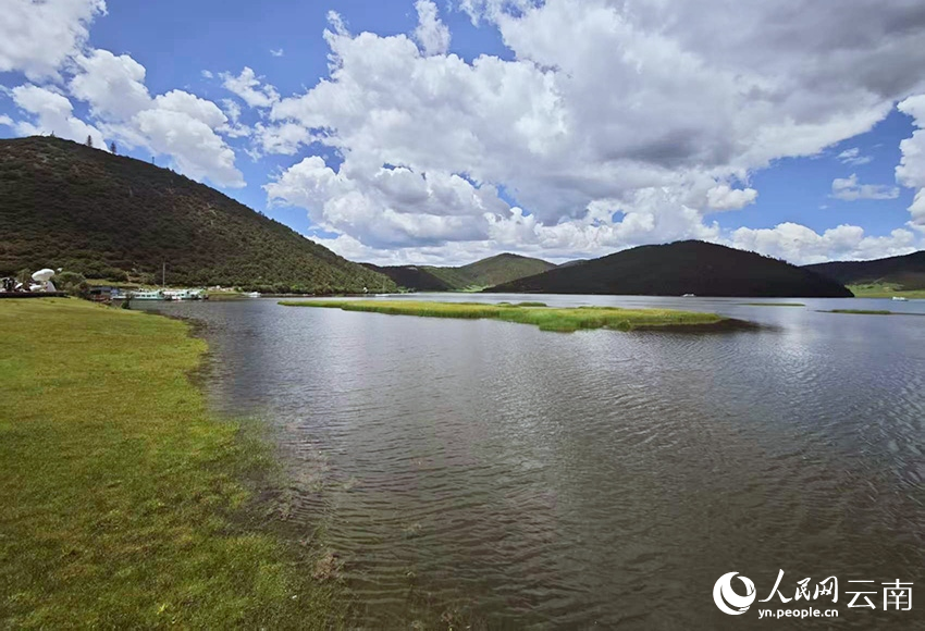 迪慶香格里拉普達(dá)措公園夏日風(fēng)景如畫。人民網(wǎng)記者 木勝玉攝