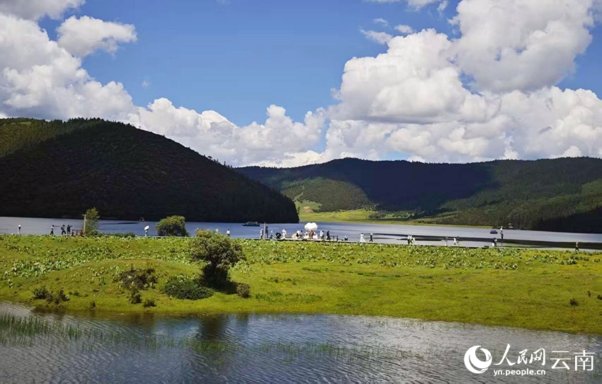 迪慶香格里拉普達(dá)措公園夏日風(fēng)景如畫。人民網(wǎng)記者 木勝玉攝