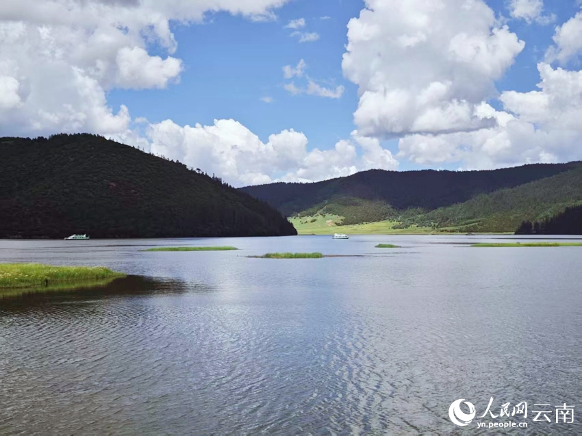 迪慶香格里拉普達(dá)措公園夏日風(fēng)景如畫。人民網(wǎng)記者 木勝玉攝