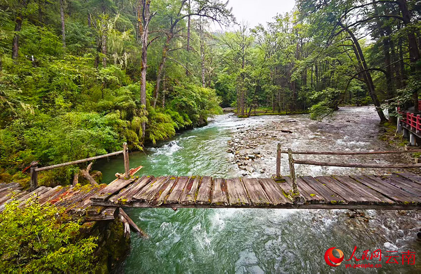 尼汝河風(fēng)光。人民網(wǎng)記者 木勝玉攝