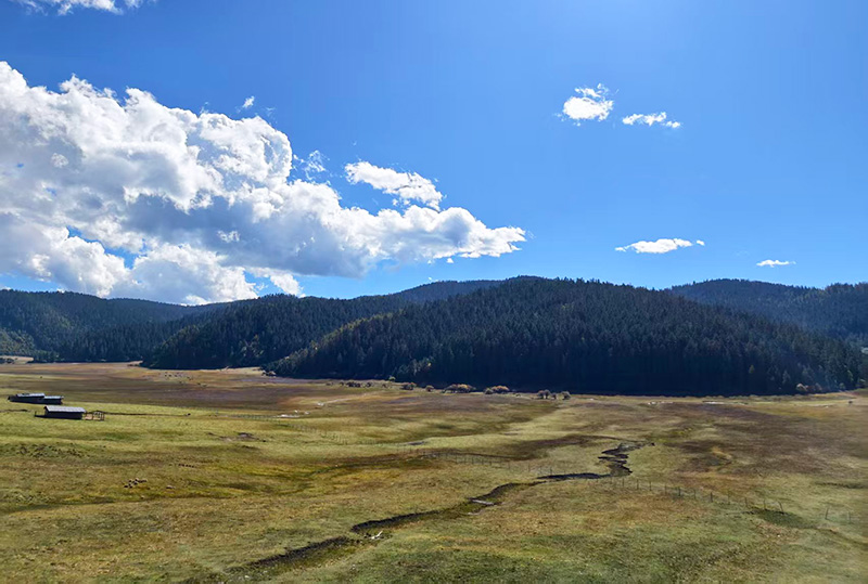 秋天的香格里拉風(fēng)景如畫(huà)。迪慶州融媒體中心供圖