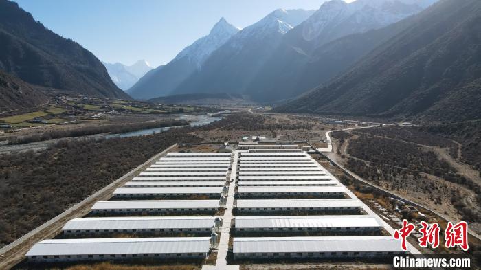 圖為西藏林芝市波密縣的標準化、產業(yè)化藏豬養(yǎng)殖基地?！〗w波 攝