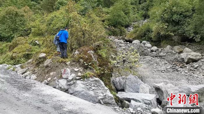 圖為折萼杜鵑被嚴(yán)重干擾的生境。　中科院昆明植物研究所提供