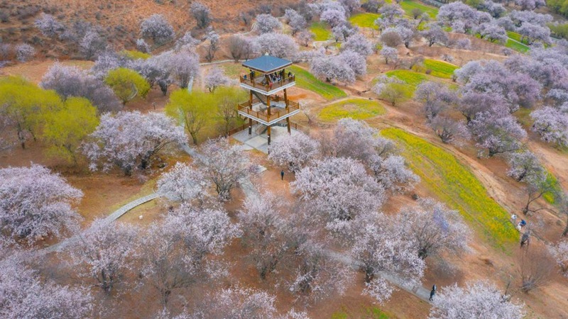 林芝嘎拉村。 張靜攝
