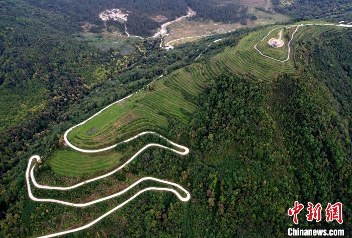 圖為西藏林芝市墨脫縣背崩鄉(xiāng)格林村山頂?shù)木坝^茶園。(無(wú)人機(jī)照片) 李林 攝