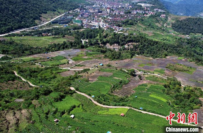 圖為西藏林芝市墨脫縣城附近的茶田。(無(wú)人機(jī)照片) 李林 攝