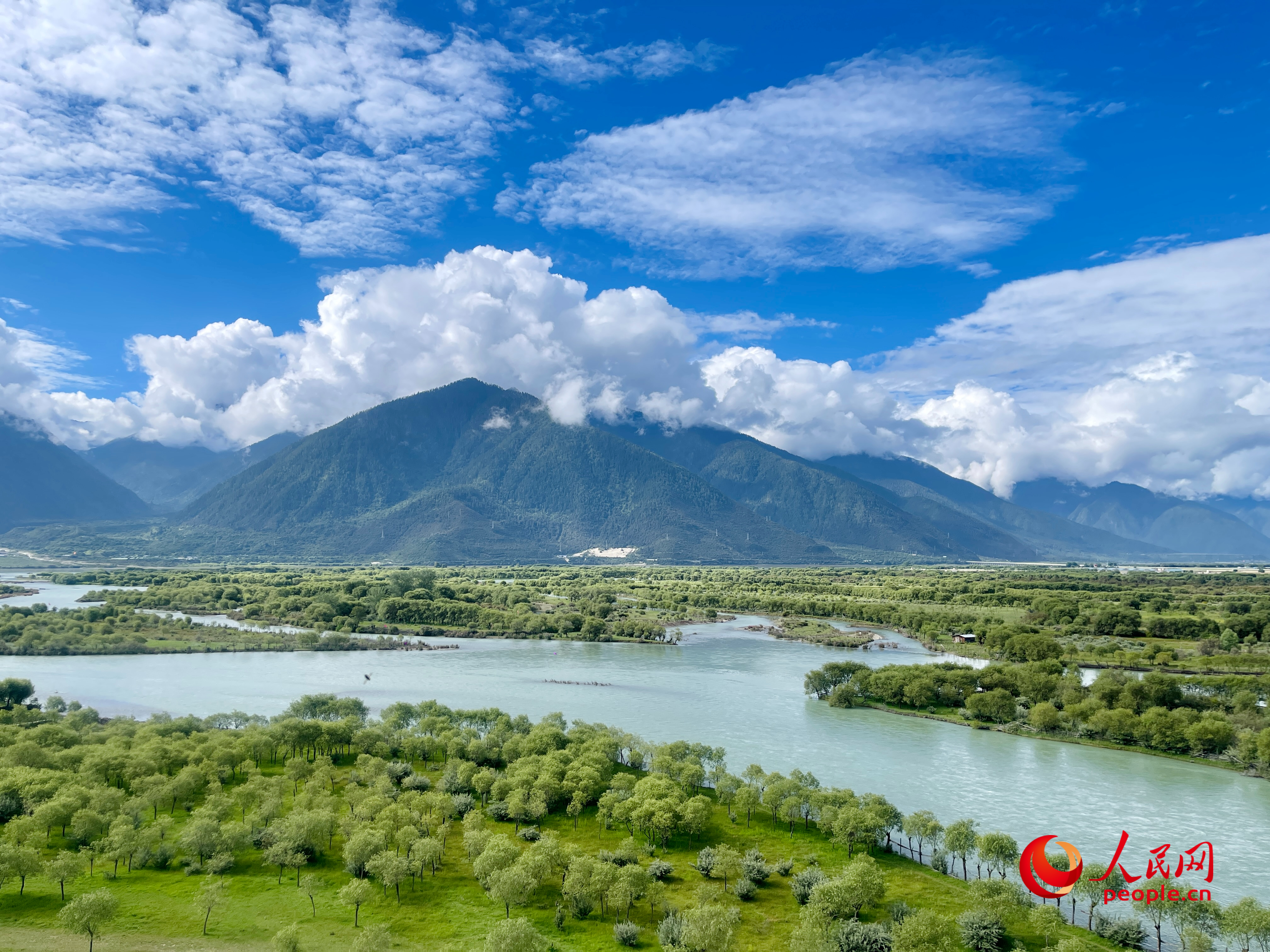 夏日的雅尼國(guó)家濕地公園生機(jī)盎然，如詩(shī)如畫。人民網(wǎng) 周靜圓攝