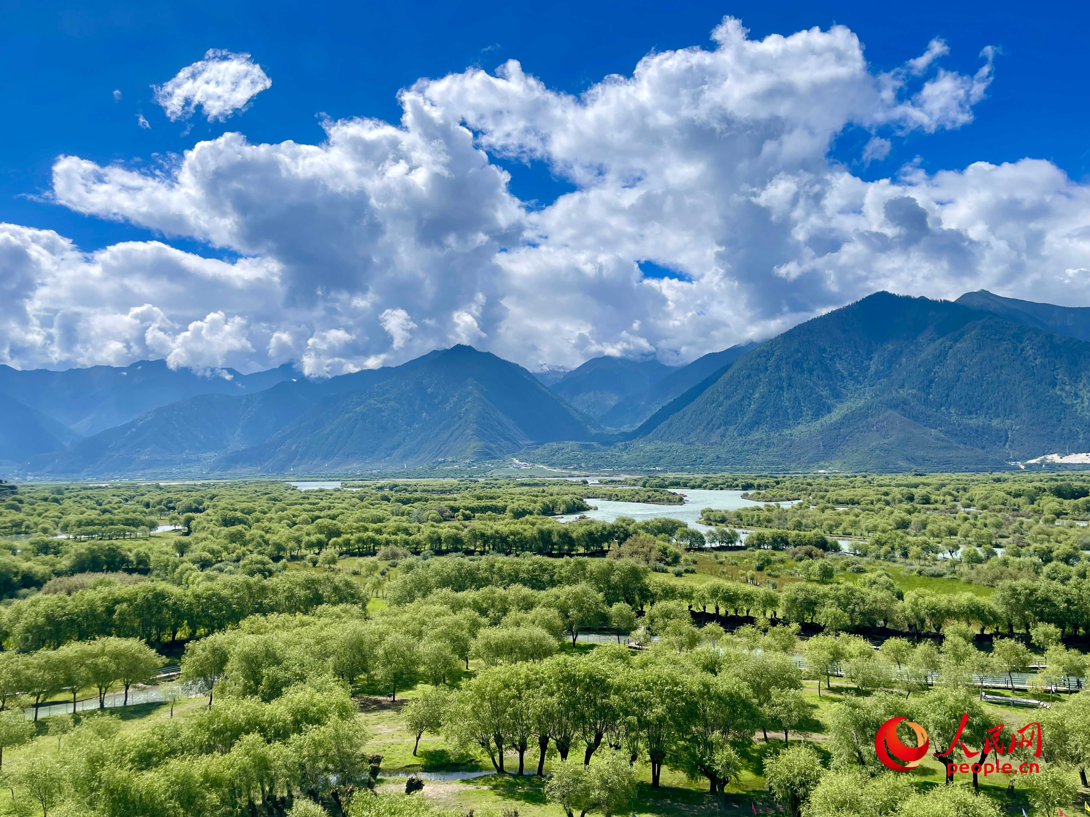 夏日的雅尼國(guó)家濕地公園生機(jī)盎然，如詩(shī)如畫。人民網(wǎng) 周靜圓攝