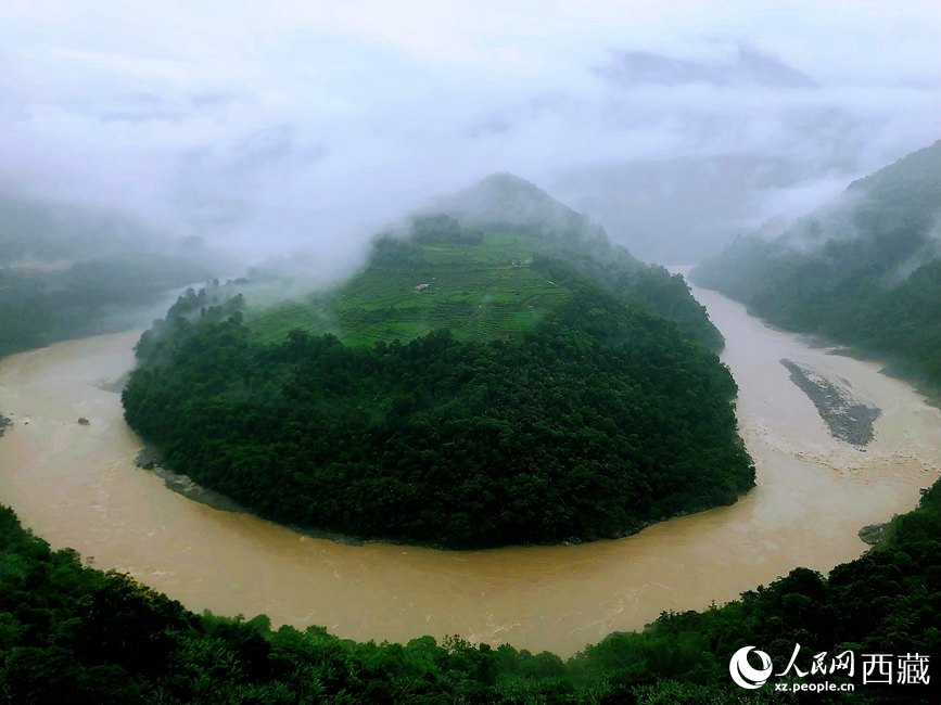 雅魯藏布江大峽谷蛇形拐彎處，山坡上種滿茶樹。