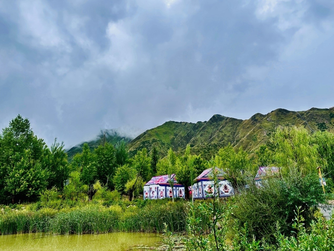 郁郁蔥蔥的南山公園。人民網(wǎng)記者 益西康珠攝