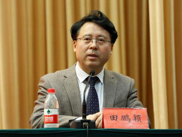 田鵬穎：投入其中、樂在其中、安身其中