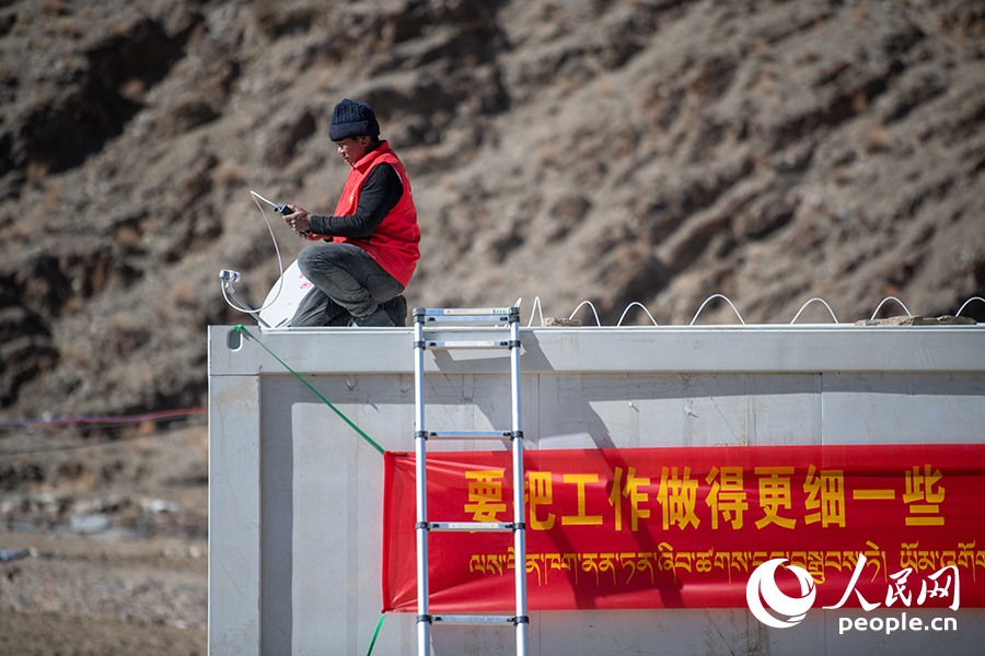 長(zhǎng)所鄉(xiāng)森嘎村村民的牲畜在食用新鮮飼草。人民網(wǎng)記者 郝潔攝